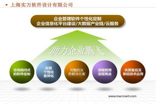 實萬定制版稱重標簽條碼打印軟件在企業管理中的關鍵作用與咨詢建議